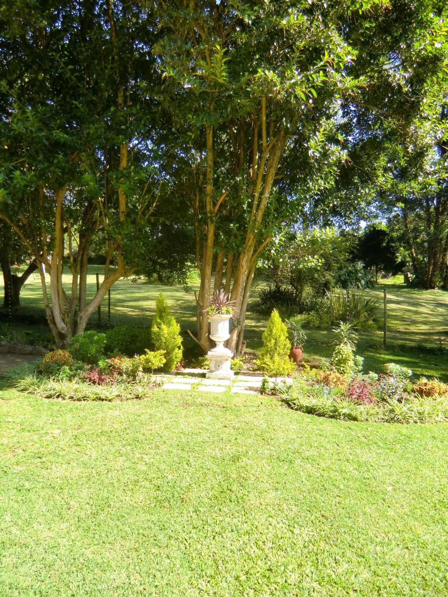 Warrens Guest House Hillcrest Chambre photo